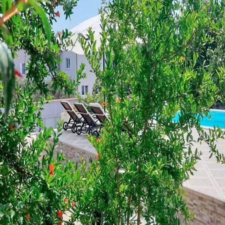 Apartment 1 Bedroom In